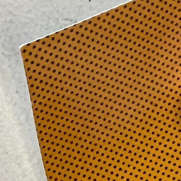 MINT/NM The Who & The James Gang 1970 Spectrum Poster 2nd Print 13" x 24" - Picture 2 of 6